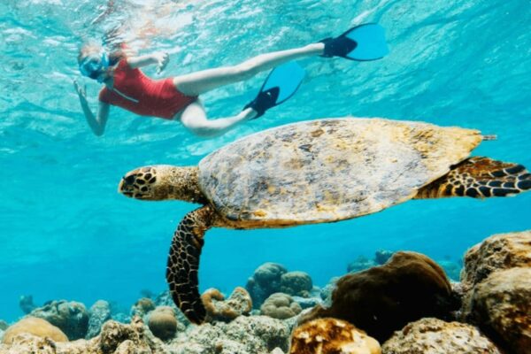 Snorkel & Diving  in Tulum